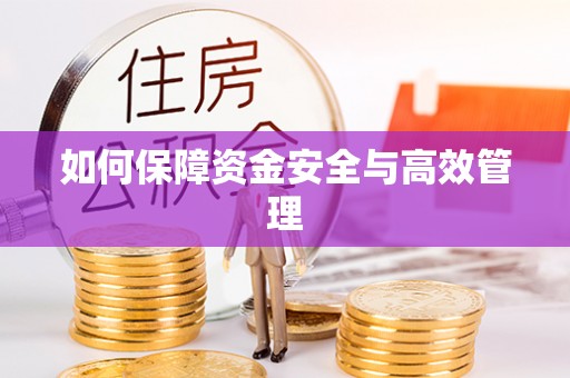 临潼如何保障资金安全与高效管理