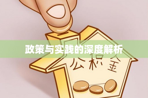 临潼政策与实践的深度解析