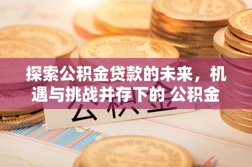 临潼探索公积金贷款的未来，机遇与挑战并存下的 公积金贷款风险防控