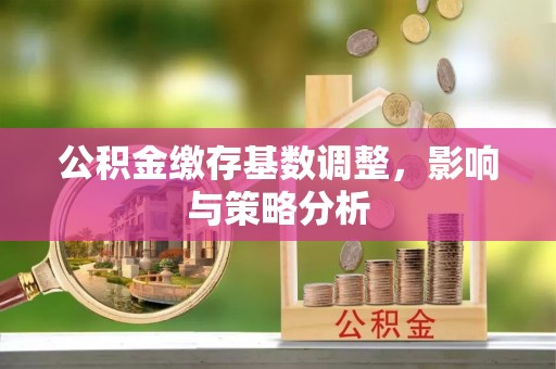 临潼公积金缴存基数调整，影响与策略分析
