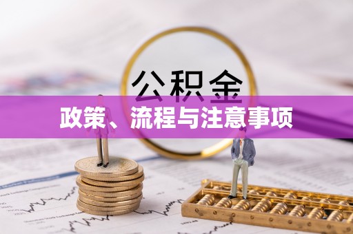 临潼政策、流程与注意事项
