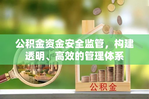 临潼公积金资金安全监管，构建透明、高效的管理体系