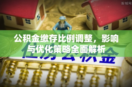 临潼公积金缴存比例调整，影响与优化策略全面解析