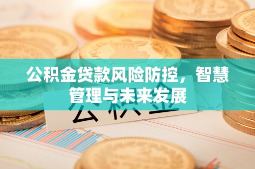 临潼公积金贷款风险防控，智慧管理与未来发展
