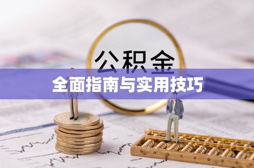 临潼全面指南与实用技巧