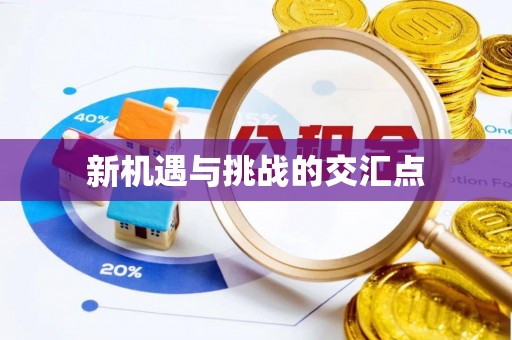 临潼新机遇与挑战的交汇点