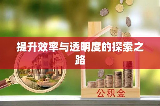 临潼提升效率与透明度的探索之路