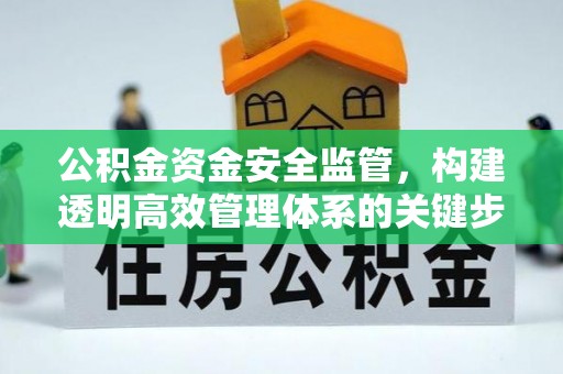 临潼公积金资金安全监管，构建透明高效管理体系的关键步骤