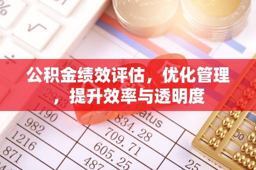 临潼公积金绩效评估，优化管理，提升效率与透明度