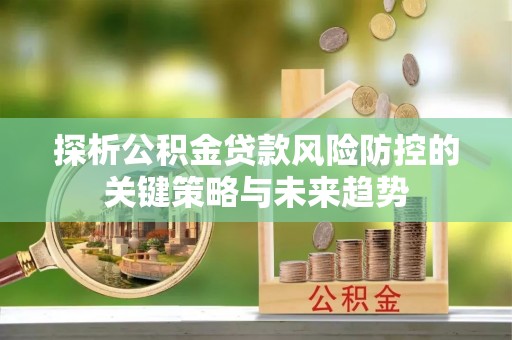 临潼探析公积金贷款风险防控的关键策略与未来趋势