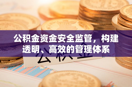 临潼公积金资金安全监管，构建透明、高效的管理体系