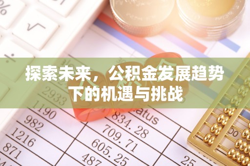 临潼探索未来，公积金发展趋势下的机遇与挑战