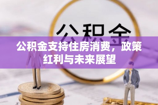 临潼公积金支持住房消费，政策红利与未来展望
