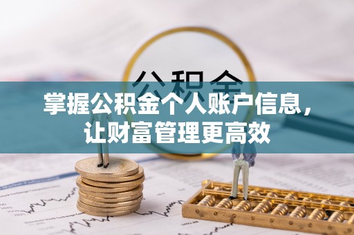临潼掌握公积金个人账户信息，让财富管理更高效