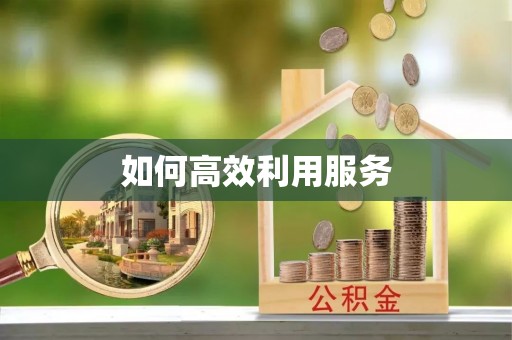 临潼如何高效利用服务