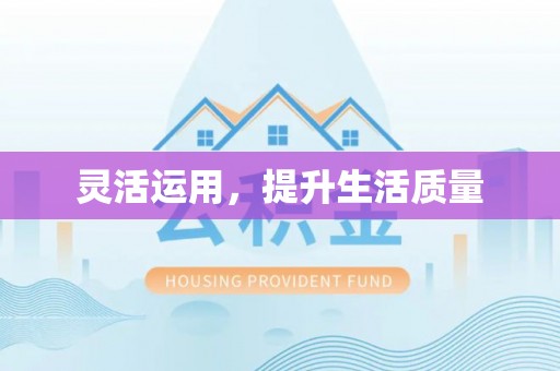 临潼灵活运用，提升生活质量