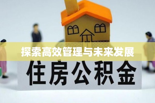 临潼探索高效管理与未来发展