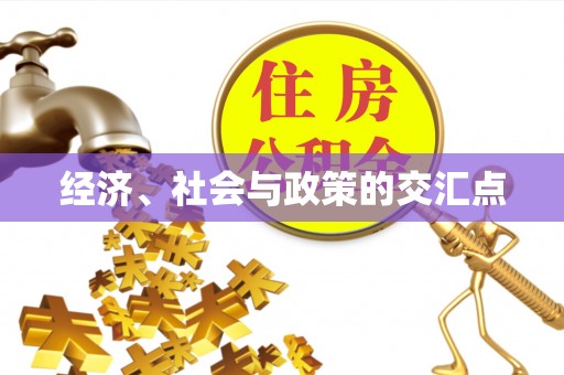 临潼经济、社会与政策的交汇点