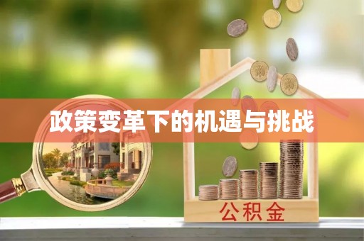 临潼政策变革下的机遇与挑战
