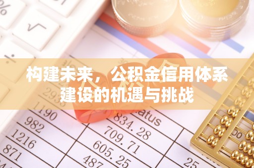 临潼构建未来，公积金信用体系建设的机遇与挑战