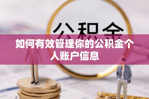 临潼如何有效管理你的公积金个人账户信息