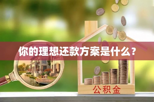 临潼你的理想还款方案是什么？