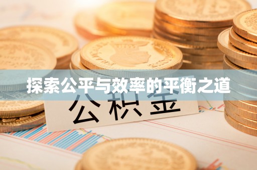 临潼探索公平与效率的平衡之道