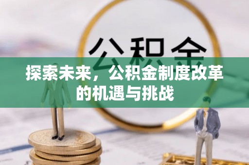 临潼探索未来，公积金制度改革的机遇与挑战