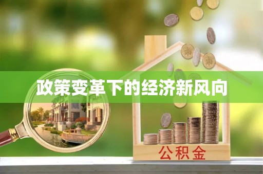 临潼政策变革下的经济新风向