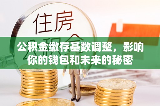 临潼公积金缴存基数调整，影响你的钱包和未来的秘密