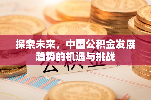 临潼探索未来，中国公积金发展趋势的机遇与挑战