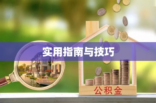 临潼实用指南与技巧
