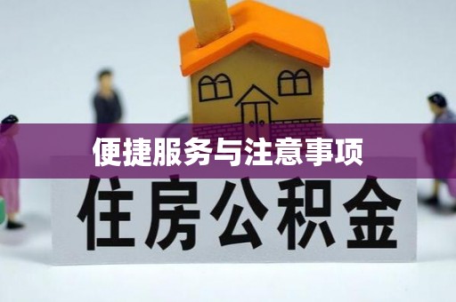 临潼便捷服务与注意事项