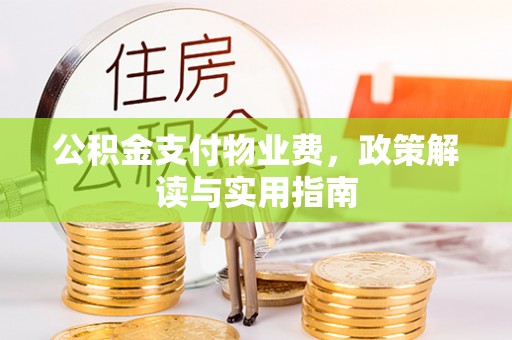 临潼公积金支付物业费，政策解读与实用指南