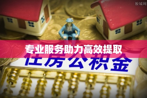 临潼专业服务助力高效提取