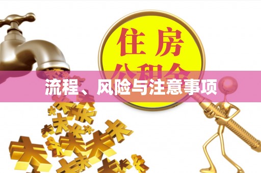 临潼流程、风险与注意事项