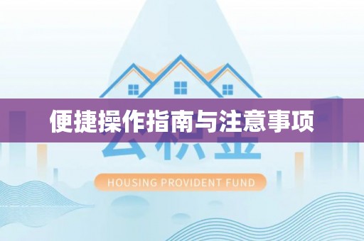 临潼便捷操作指南与注意事项