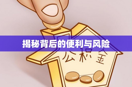 临潼揭秘背后的便利与风险